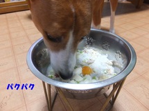 のんびりお散歩・のんびり昼寝（笑）
