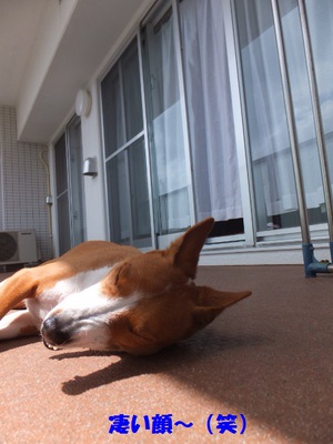 晴天土曜日♪