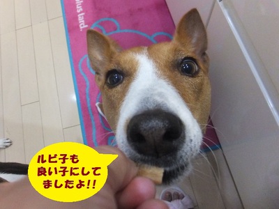 梅雨の晴れ間～！！