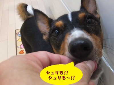 月一のウマウマ♪