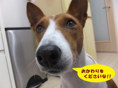 強風。。
