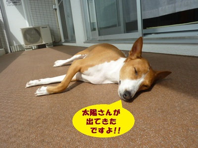 ご褒美だよね（笑）
