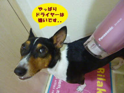 月一シャンプーでスッキリ！！