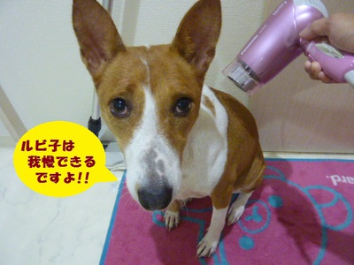 月一シャンプーでスッキリ！！