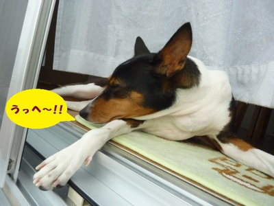 ご褒美だよね（笑）