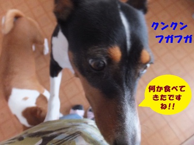 久々のランチ♪