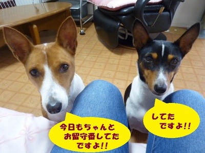 ご褒美だよね（笑）