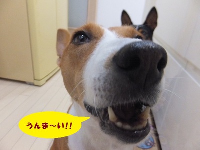 月一のウマウマ♪