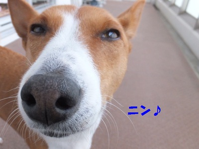 晴天土曜日♪