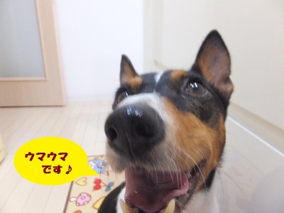 月一のウマウマ♪