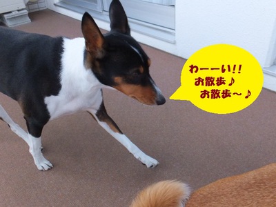 晴天土曜日♪