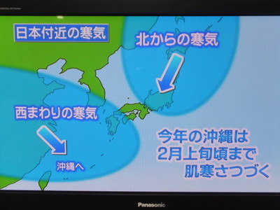 ガチマヤ～万歳！！