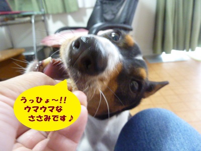 ご褒美だよね（笑）