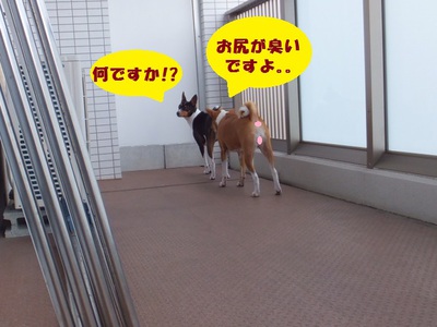 晴天土曜日♪