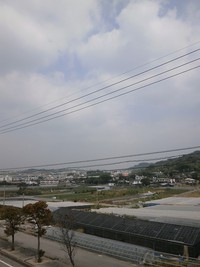 色違いのクロスがアクセント　南城市の３ＬＤＫ