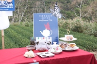 琉球ロイヤルミルクティー発売日です！