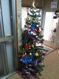 クリスマスツリーとイルミネーション 2022/12/12 15:16:00