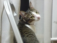 ヤル気を失くす一言 （-_-:）