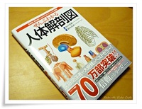 人体解剖図　本