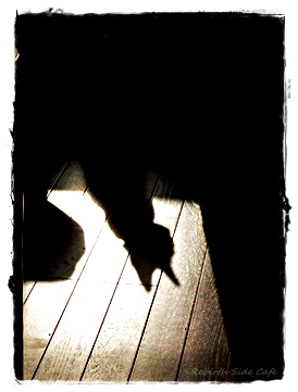 『 女王の教室 』