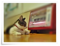 さぶさぶさぶゥ～（* *）