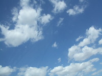 梅雨明けしましたね！ 2011/06/10 16:00:22