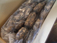 贈り物 2011/12/18 01:10:22