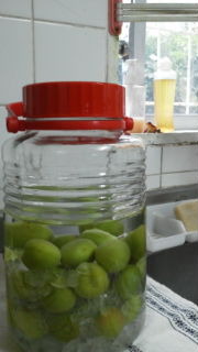 タケです。 2011/06/13 18:42:10