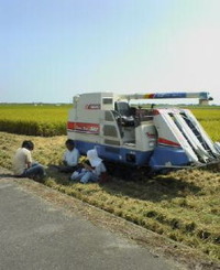 タケです。。。 2011/10/10 23:06:49