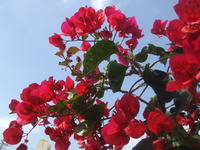 春！！ 2012/03/30 20:49:54