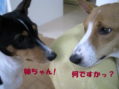 ヒソヒソ話。。