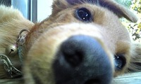 自己紹介☆★ 2009/07/30 18:40:51