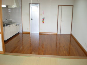 那覇市松山の１ＬＤＫ