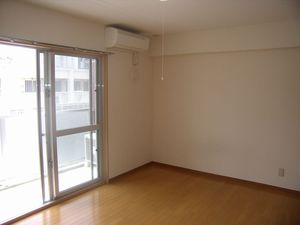 ちゅら島総体（インターハイ）