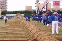 １２年に、１回　虎年　北谷三ケ村大綱引き 2010/08/11 09:36:10
