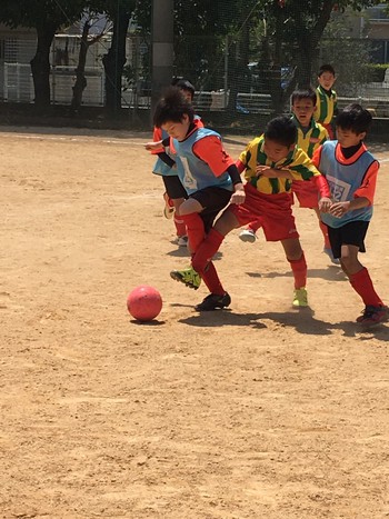 三原カップ
