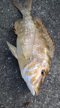 今、まさに 今！ 2014/07/15 18:46:41