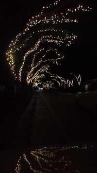 いるみぃー 2014/12/25 13:40:49