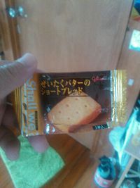 探してます！