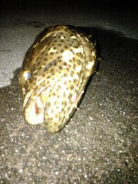 うぉー(*^ー^)ノ♪ 2015/09/23 23:23:53