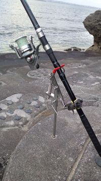海♪ 久しぶりぃ〜 2015/01/23 17:41:18