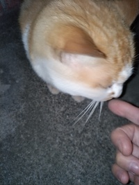 信頼かな…