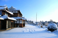 雪を観測 2016/01/25 18:11:48