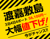 【緊急値下】こりゃあ、安い！ 2015/06/10 18:21:29