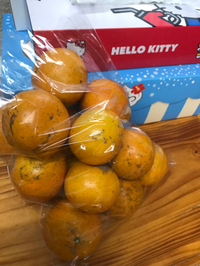 差し入れの数々