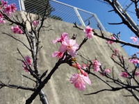 打ち込み釣行。。。撃沈編(T-T)