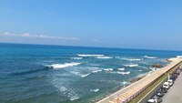 『シャンビオ交流会』日曜日です！！ 2013/10/08 18:00:45