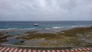 台風並みに大荒れです