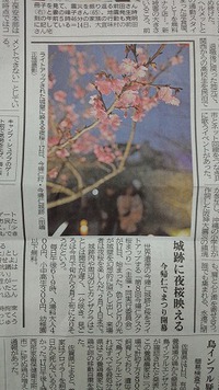 桜の季節 2015/01/25 19:04:46