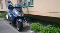 いずこへ 2014/07/11 00:28:11